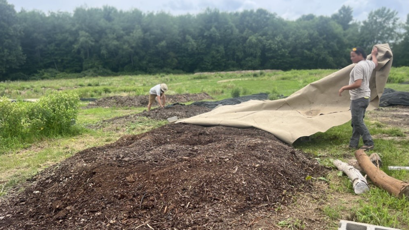 Uncovering compost pile.png